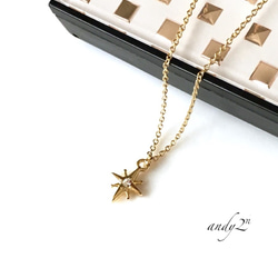 Lucky Star Motif Necklace《Gold or Silver》 4枚目の画像