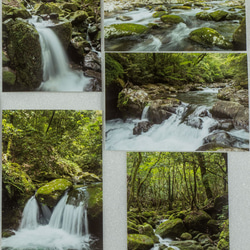 Lサイズの写真・渓流がメインの風景11枚セット(L024N) 3枚目の画像