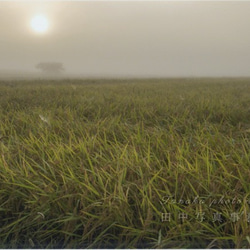秋の早朝の田園地帯 LP0523 1枚目の画像