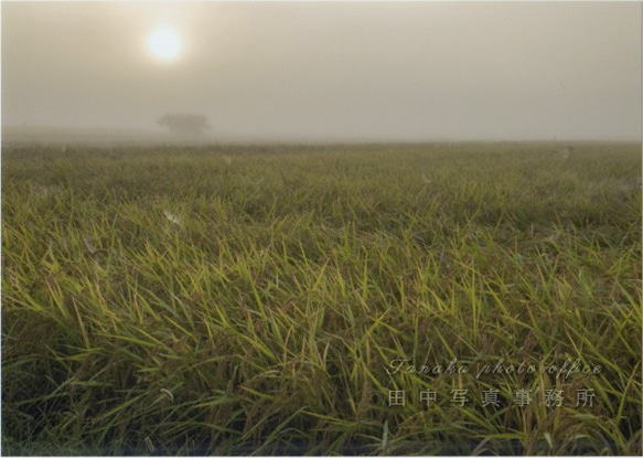 秋の早朝の田園地帯 LP0523 1枚目の画像