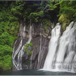 緑と白水の滝 LP0587 1枚目の画像