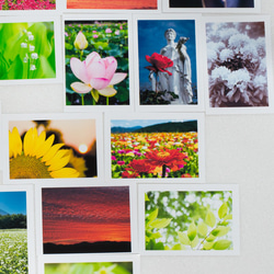 Lサイズの写真・花と風景色々26枚セット(L011) 3枚目の画像
