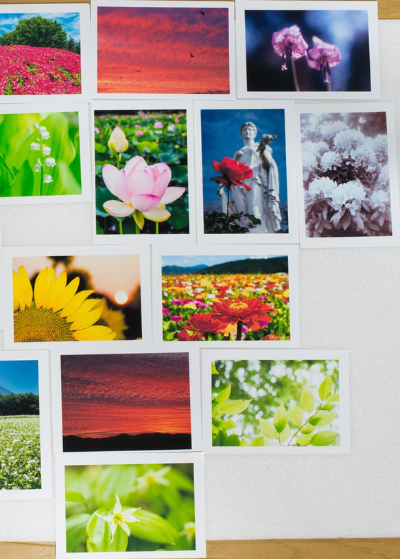 Lサイズの写真・花と風景色々26枚セット(L011) 3枚目の画像