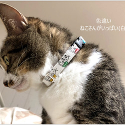 ねこ用 ふわふわ首輪・セーフティバックル!! ねこさんがいっぱい柄 きなり◇おまけつき 14枚目の画像