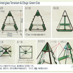 【新緑のピラミッド型テラリウム(緑色)】❇️お部屋に新緑を(o^－^o) 8枚目の画像