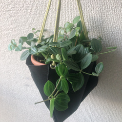 観葉植物　植木鉢カバー　プラントハンガー　ナイロン製　ブラック 1枚目の画像