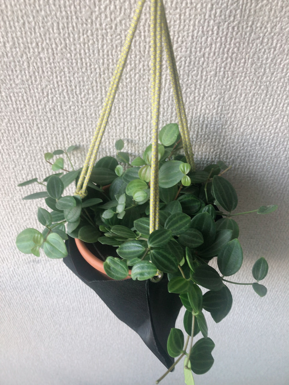 観葉植物　植木鉢カバー　プラントハンガー　ナイロン製　ブラック 6枚目の画像