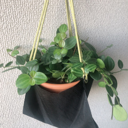 観葉植物　植木鉢カバー　プラントハンガー　ナイロン製　ブラック 9枚目の画像