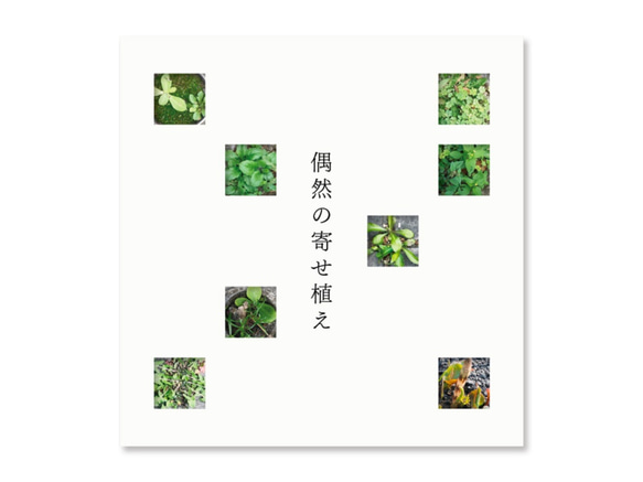 手製本『偶然の寄せ植え』 1枚目の画像