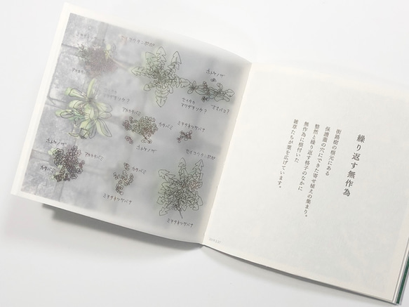 手製本『偶然の寄せ植え』 4枚目の画像