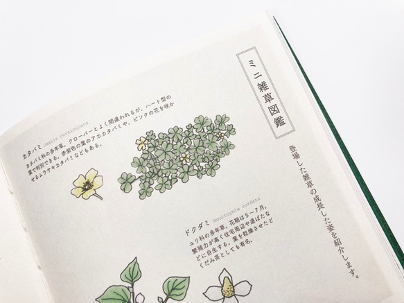 手製本『偶然の寄せ植え』 5枚目の画像