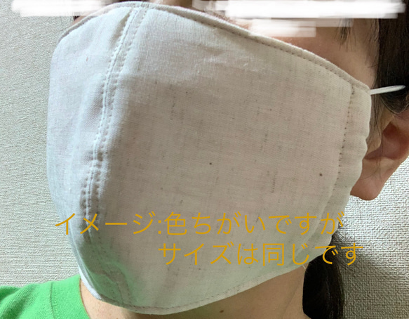 【送料無料】夏マスク　ひんやりマスク　保冷剤が入るポケット立体マスク　シンプルだけど機能的 6枚目の画像