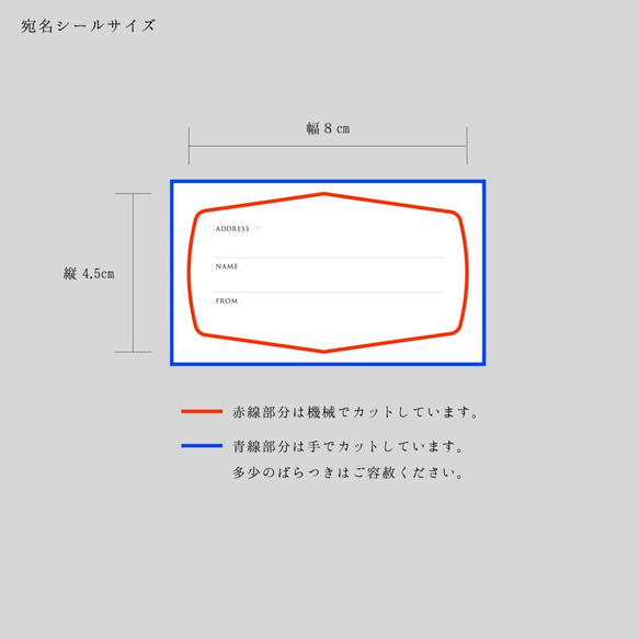  第4張的照片
