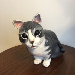送料無料 灰色の猫 1枚目の画像