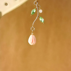 春を待つ花蕾のピアス(春・冬・蕾・ピンク・ライトグリーン・チューリップ・クイーンコンクシェル・天然素材) 5枚目の画像