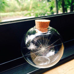 1_a3a06589d9ed72d068763fd3c924