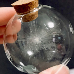 ケサランパサランα 丸瓶 レア 写真の子を発送 その他インテリア雑貨