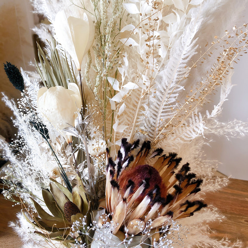 ふわふわ真っ白なパンパスグラス（ビックテールリード）とネイティブ