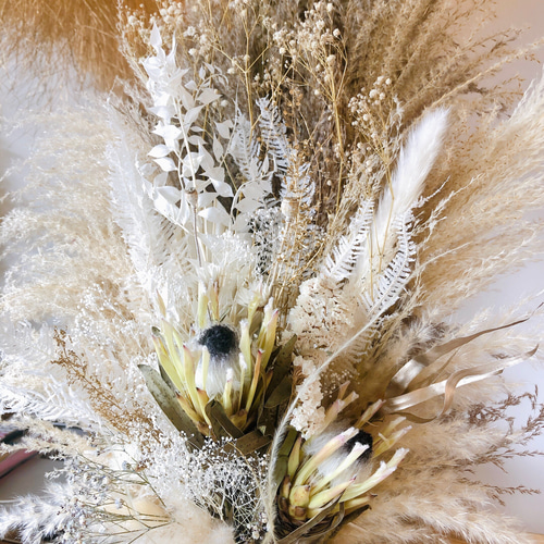 パンパスグラス ドライフラワー Creema限定春色新作」ドライフラワー＊パンパスグラス バイカラーの