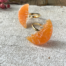 砂糖漬けにした柑橘のリング 1枚目の画像