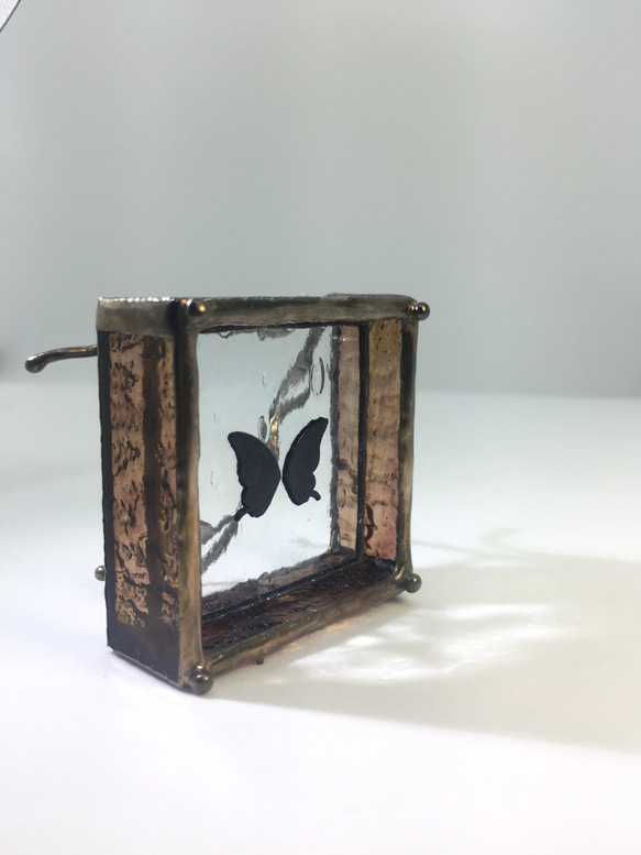 蝶の標本調 ステンドグラスジュエリートレー 「モデル サー・アマデウス ソリスト」 1枚目の画像