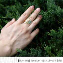 リウムリング 2枚目の画像