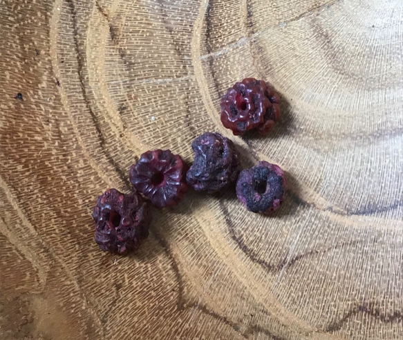 アンティーク菩提樹の実ビーズ（ウッド　1セット5個入り） 1枚目の画像