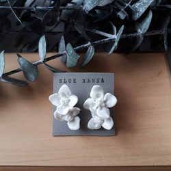 <受注制作>　白く咲く花　天草陶石の耳飾り 2枚目の画像