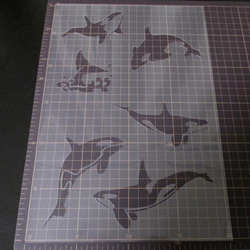 シャチ　イラスト　ステンシルシート　型紙 図案　NO308 3枚目の画像