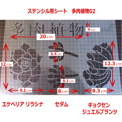 多肉植物2番　エケベリア リラシナ 乙女心 ギョクセン(ジュエルプランツ) 　ステンシルシート　型紙 図案　NO602 2枚目の画像