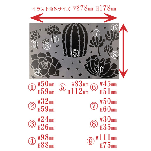 多肉植物4番 イラスト 虹の玉・乙女心・サボテン・リラシナ 多肉植物4番 イラスト 虹の玉・乙女心・サボテン・リラシナ