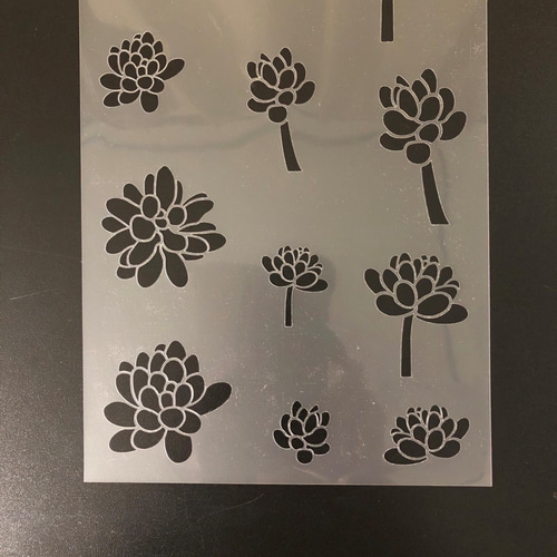 多肉植物6番 イラスト 虹の玉 ステンシルシート 型紙 図案 NO606