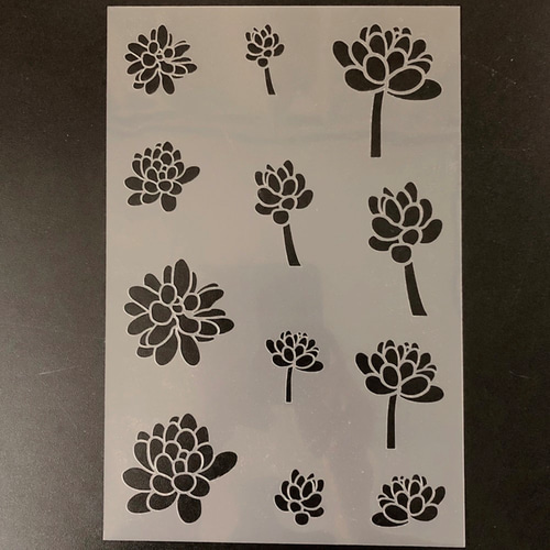 多肉植物6番 イラスト 虹の玉 ステンシルシート 型紙 図案 NO606