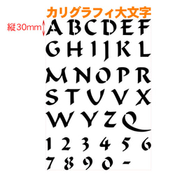 ☆アルファベット大文字　サイズ縦3センチ カリグラフィ ステンシルシート NO141 2枚目の画像