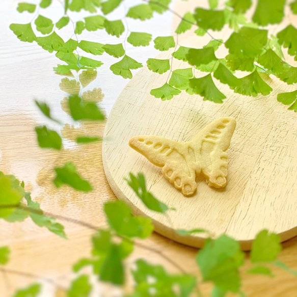 【3Dプリントスタンプクッキー型】アオスジアゲハ 1枚目の画像