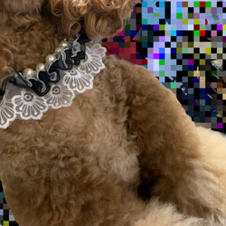 犬用 ネックレス オシャレ 3枚目の画像