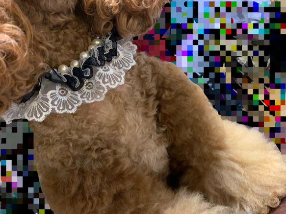 犬用 ネックレス オシャレ 3枚目の画像