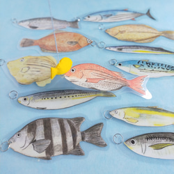 【食育】魚釣りおもちゃ　モンテッソーリ　知育玩具 1枚目の画像