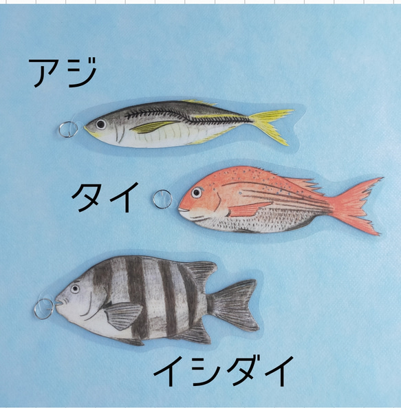 【食育】魚釣りおもちゃ　モンテッソーリ　知育玩具 3枚目の画像