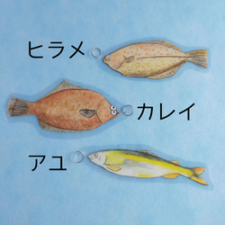 【食育】魚釣りおもちゃ　モンテッソーリ　知育玩具 5枚目の画像