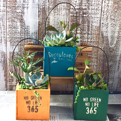 ★多肉植物　寄せ植え〜手作り木製　うさぎさん木箱〜★ ☆多肉植物 寄せ植え〜手作り木製 うさぎさん木箱〜☆ 多肉】#78