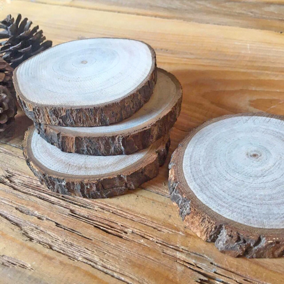原木燒客製化燒刻烙畫樟木帶樹皮切片/寵物畫/人像畫/原木清新自然杯墊 第5張的照片