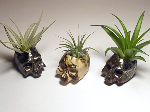 工房十鶴　一輪挿し　花器　ドクロ　新品未使用 陶器 どくろ植木鉢 ミニ 一輪挿し・花瓶・花器 SPLITIMAGE1/75