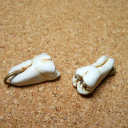 陶器　大臼歯チャーム 2枚目の画像