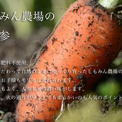 【大人のショコラ】CARROT AMANDE CHOCOLAT 60g　(Bean to Bar Ghana70) 5枚目の画像