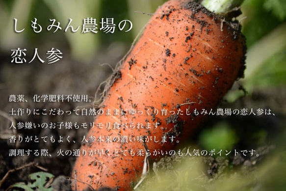 【大人のショコラ】CARROT AMANDE CHOCOLAT 60g　(Bean to Bar Ghana70) 5枚目の画像