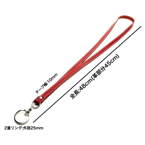 桂小太郎 かつらっぷ 逸品] ファミリア チェック 青系