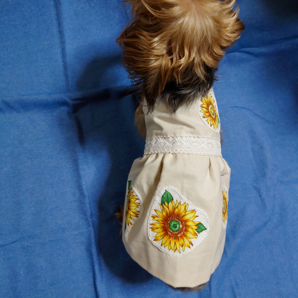 着せやすい犬服・ひまわりのアップリケワンピース・スモックをオーダー 