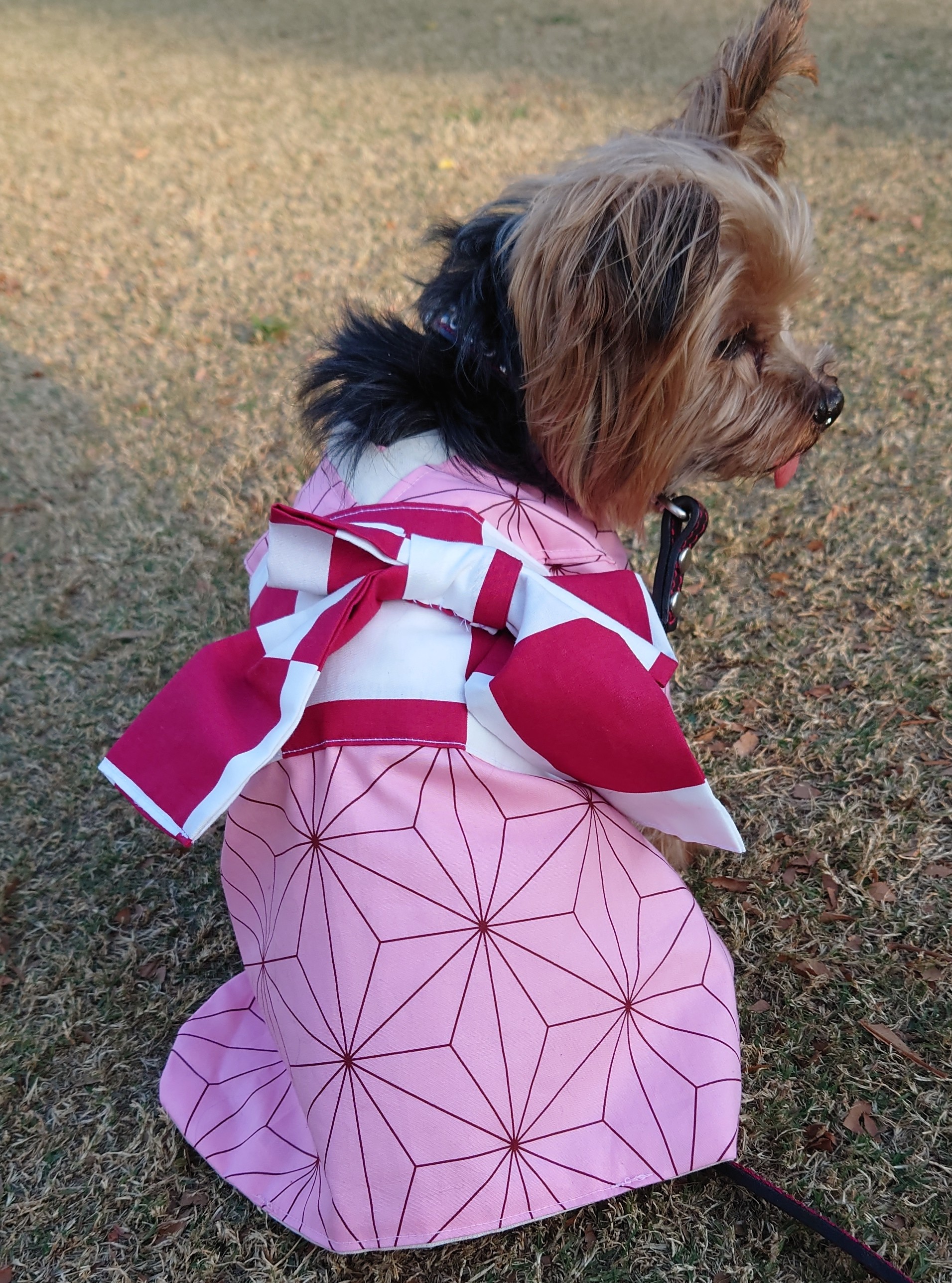 ピンク 着せ替え用 （ソフィー専用）犬のコスチューム