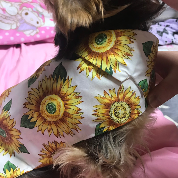 着せやすい犬服アロハシャツオーダーメイドで 4枚目の画像